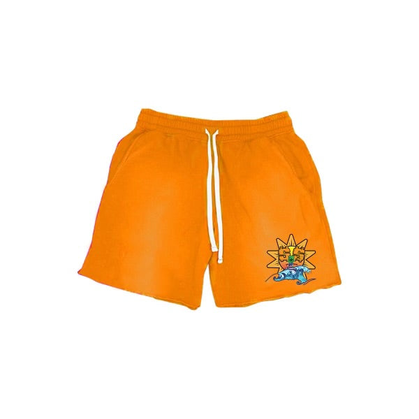 DollarMan Sun Ski Shorts